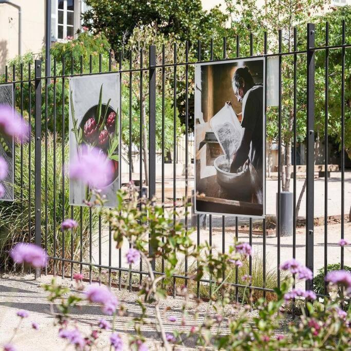 Taote - Studio Avec Terrasse Au Coeur De Ville Brignoles Dış mekan fotoğraf