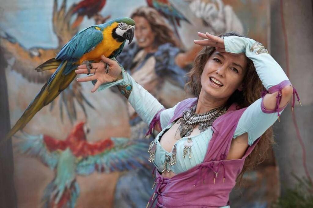 Taote - Studio Avec Terrasse Au Coeur De Ville Brignoles Dış mekan fotoğraf